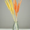 PLUMEAU PAMPA NATUREL H.90CM JAUNE ET ORANGE X6 PIECES