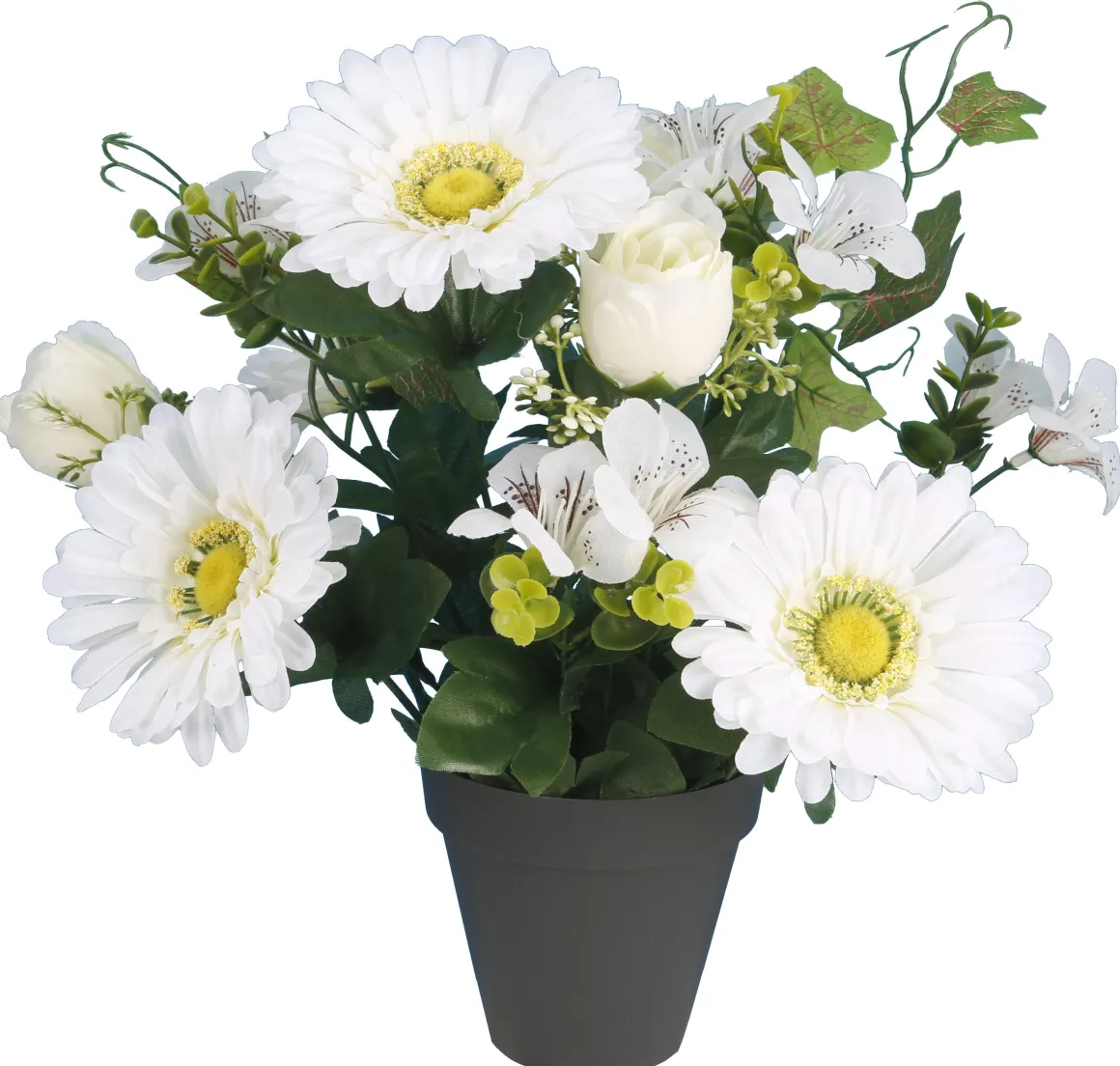 POT GERBERAS BOUTONS