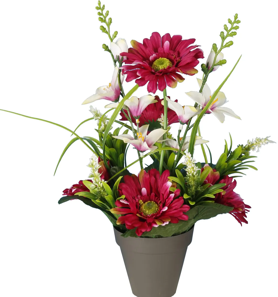 POT GERBERAS DELPHINIUMS