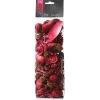 POT POURRI FRAMBOISE 140G