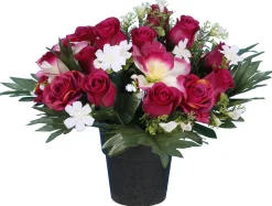 POT ROSETTE ORCHIDEE BOUTON ROSE