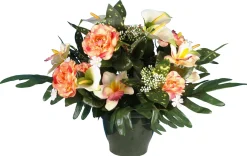 POT ZINNIA ARUM ORCHIDEE