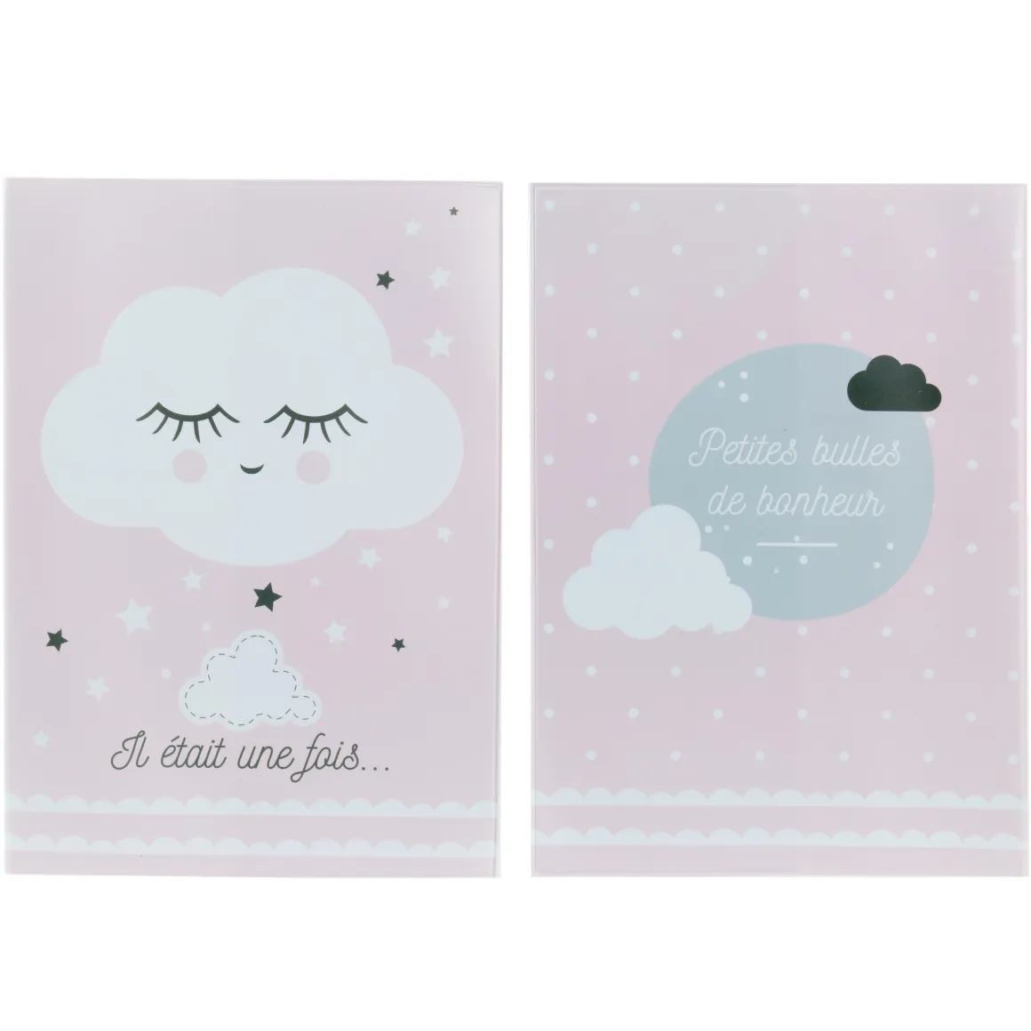 PROTEGE CARNET DE SANTE