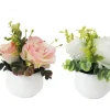 ROSES ET EUCALYPTUS POT BLANC POT H.16CM BLANC ET ROSE