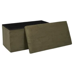 SCOTT COFFRE BANC PLIABLE COTELE VERT