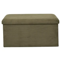 SCOTT COFFRE BANC PLIABLE COTELE VERT