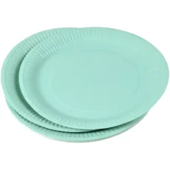 SET 20 ASSIETTES RONDE CARTON D.23CM SAUGE