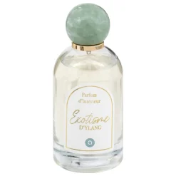 SPRAY AMBIANCE WILD 100ML