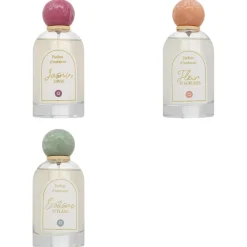 SPRAY AMBIANCE WILD 100ML