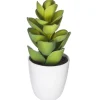 SUCCULENTE CACTUS H.18CM