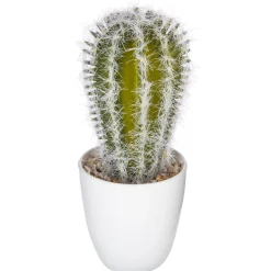 SUCCULENTE CACTUS H.18CM