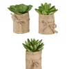 SUCCULENTES EN SAC JUTE H9CM