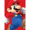 SUPER MARIO 2 MAXI POSTER 61X91.5CM