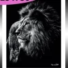 TABLEAU 25 CM X 30 CM BAGUETTE NOIRE  LION
