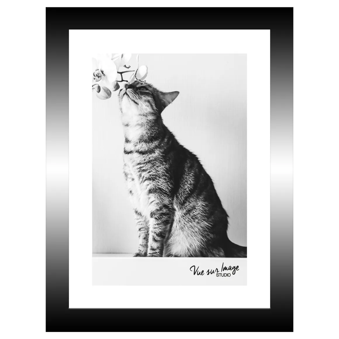 TABLEAU 15X20CM BAGUETTE NOIRE CHAT