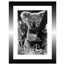 TABLEAU 15X20CM BAGUETTE NOIRE KOALA