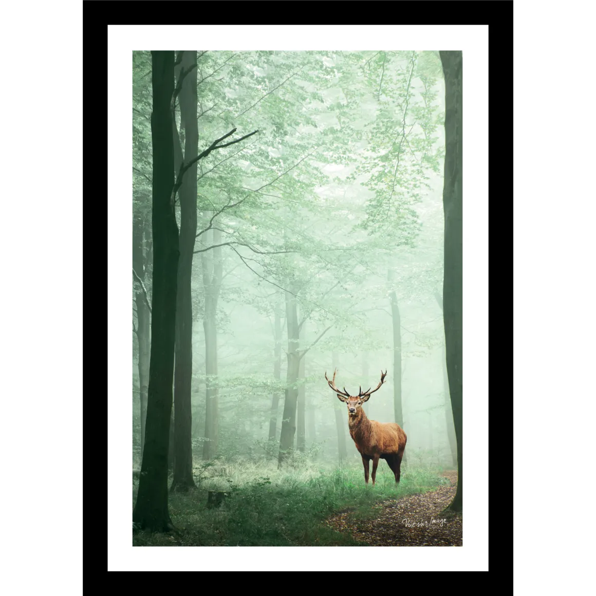 TABLEAU 25X35CM BAGUETTE NOIRE MAT CERF