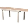 TABLE PIAZZA EXTENSIBLE VERRE IMPRIME ARGILE 10 PLACES