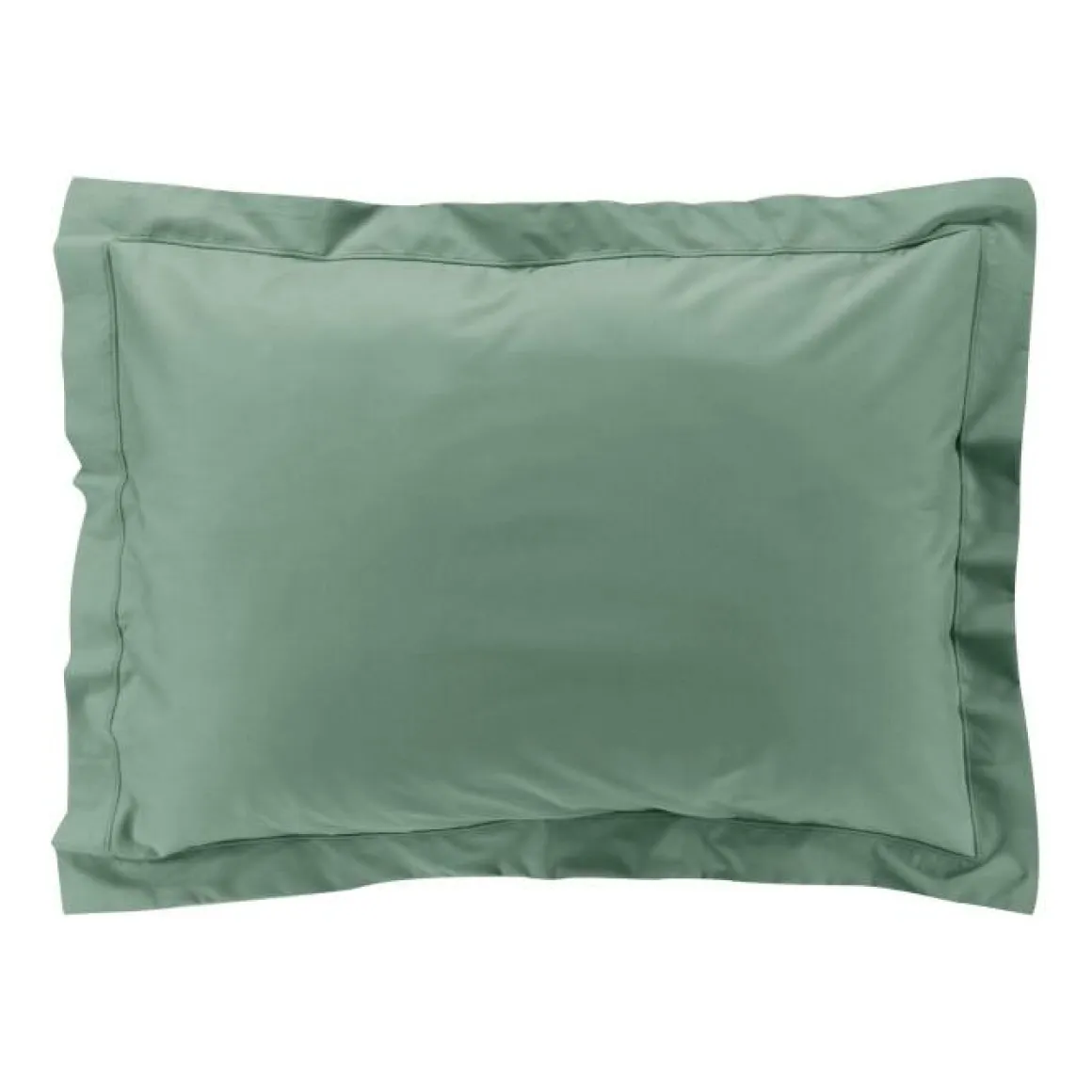 TAIE OREILLER 50X70CM PERCALE UNI 78 FILS TILLEUL