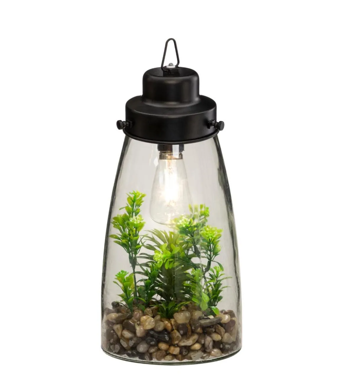 TERRARIUM AMPOULE PLANTE H.31CM