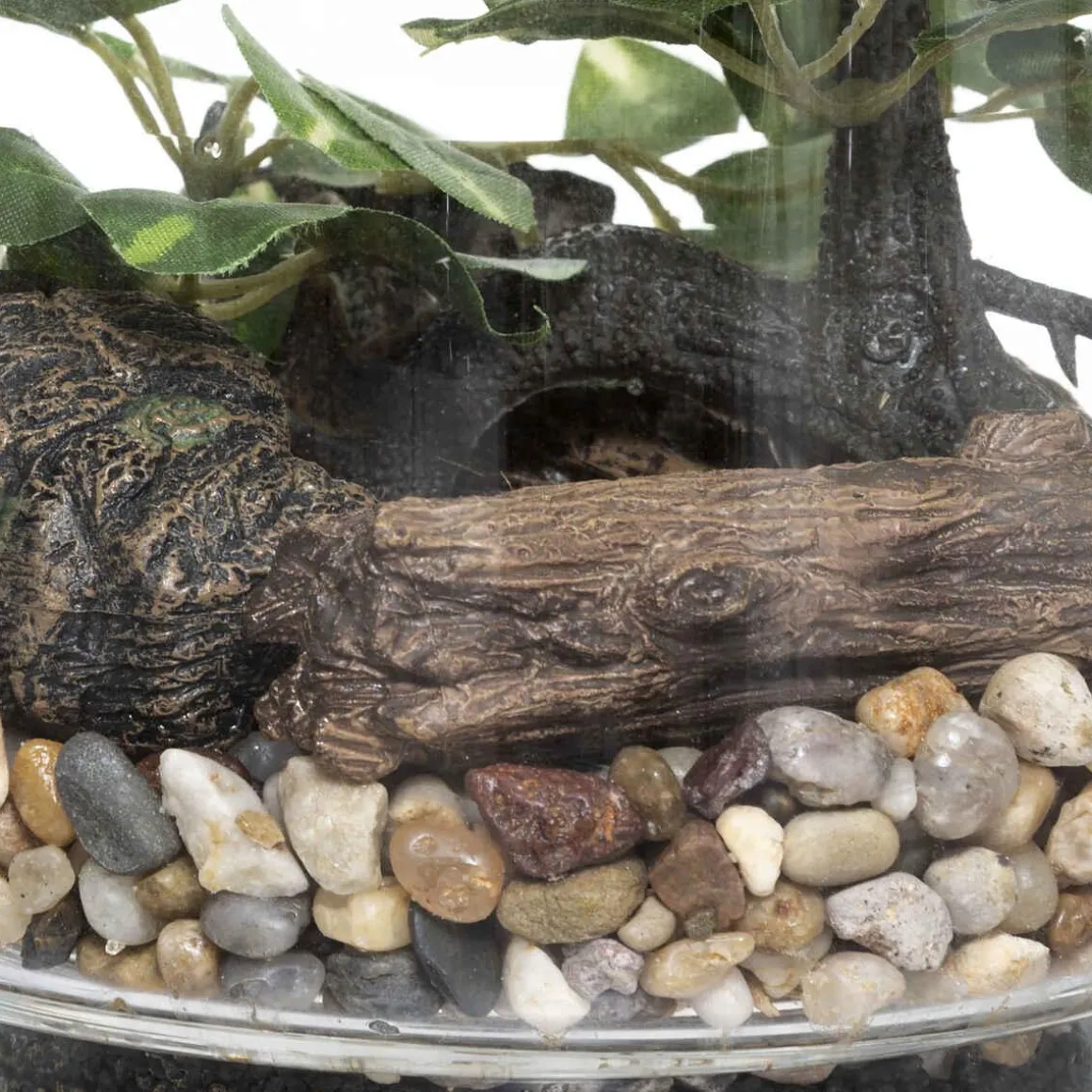 TERRARIUM BONSAI H.19CM
