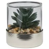 TERRARIUM PLANTE SKY H.8.5CM
