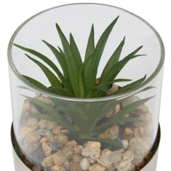 TERRARIUM PLANTE SKY H.8.5CM