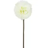 TIGE ALLIUM H63CM BLANC