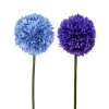 TIGE ALLIUM H.63CM BLEU