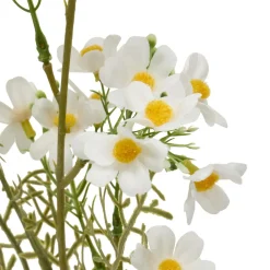 TIGE COSMOS PHOEBE H.62CM