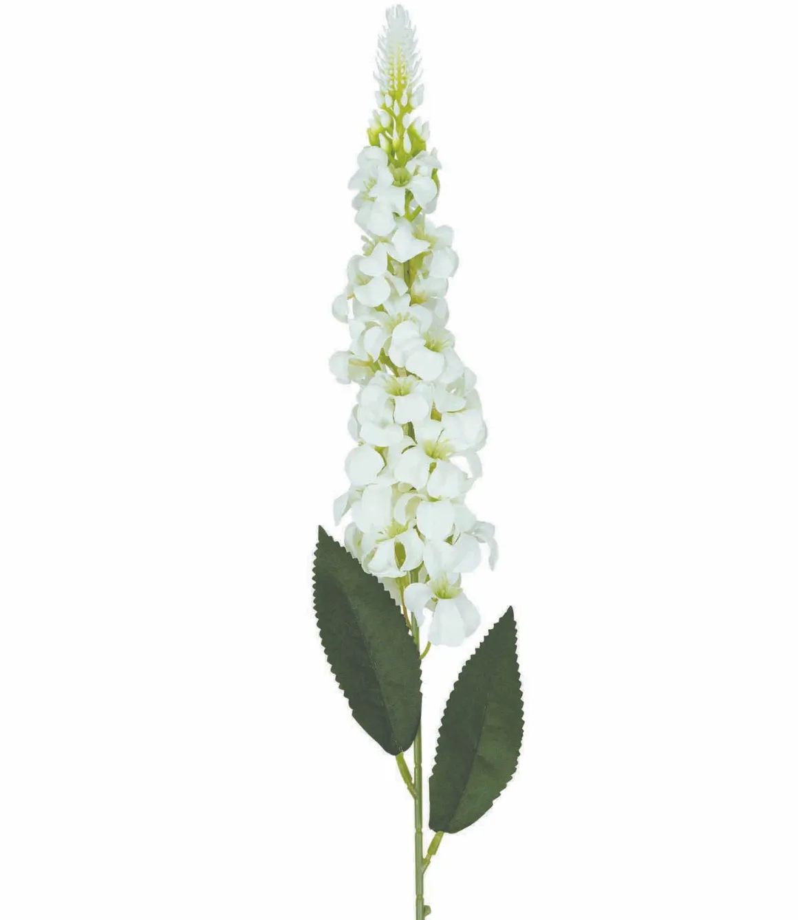 TIGE DELPHINIUM 28 FLEURS H.74CM BLANC