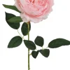 TIGE DE PIVOINE H63CM ROSE