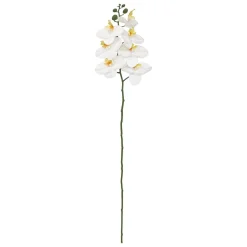 TIGE ORCHIDEE GISELE H.95CM