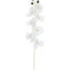 TIGE ORCHIDEES 7 FLEURS H.65CM BLANC
