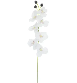 TIGE ORCHIDEES 7 FLEURS H.65CM BLANC