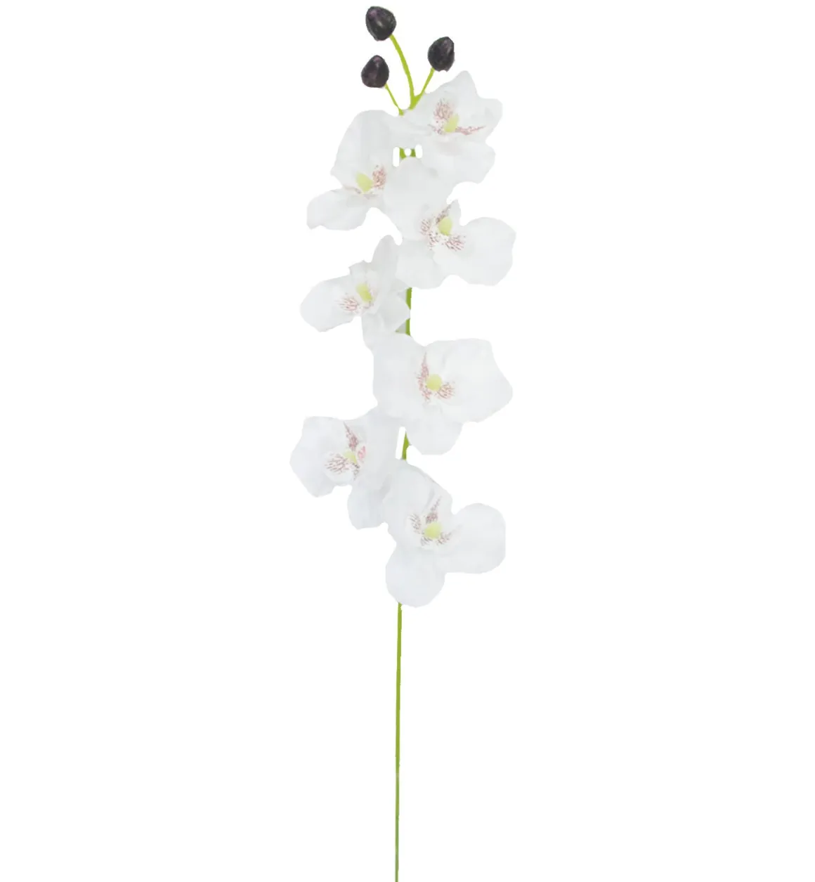 TIGE ORCHIDEES 7 FLEURS H.65CM BLANC