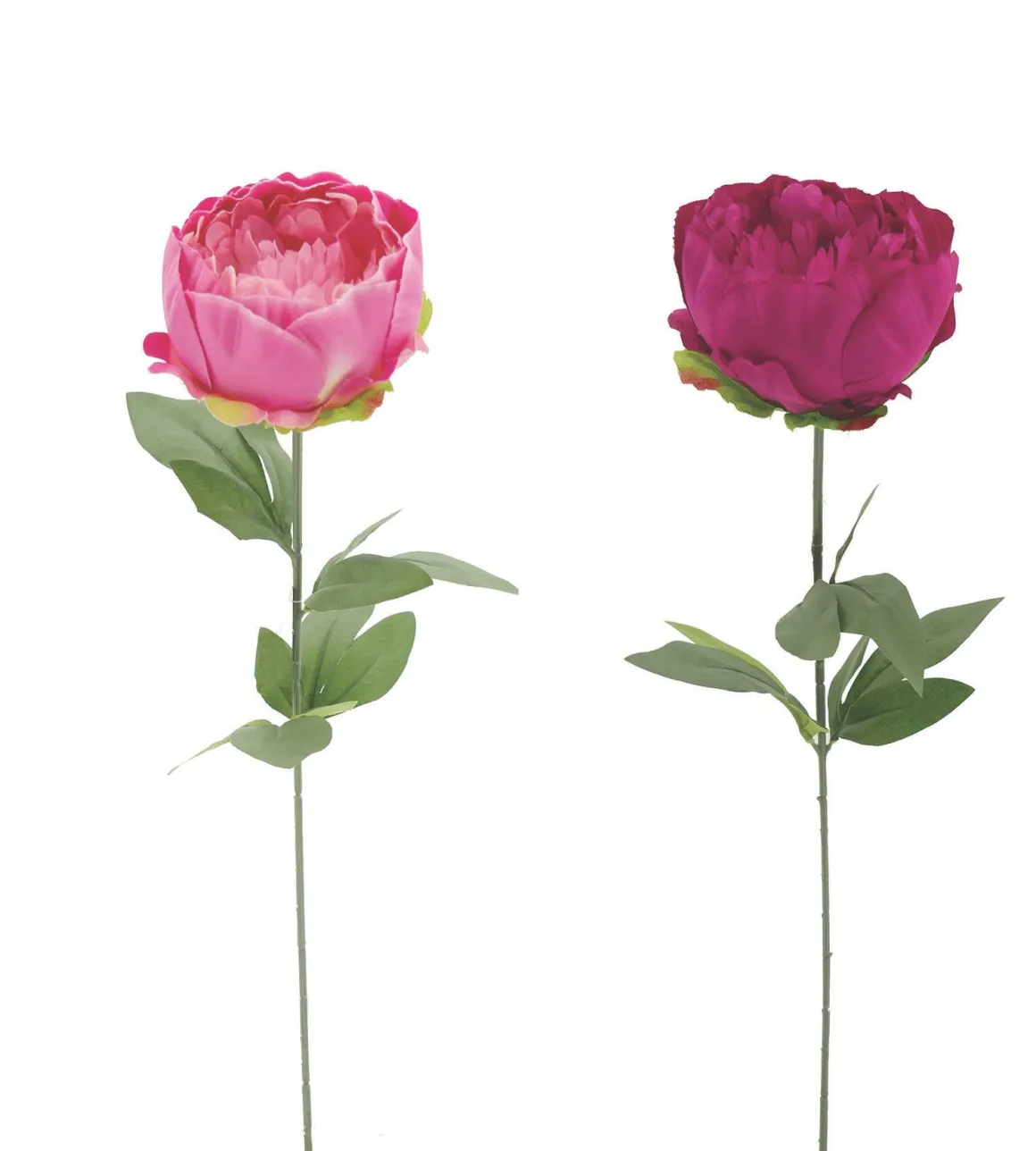 TIGE PIVOINE H.57CM ROSE