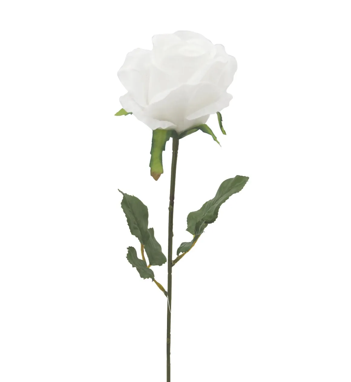 TIGE ROSE H.72CM BLANC