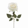 TIGE ROSE H.63CM BLANC