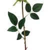 TIGE ROSE H.70CM BLANC CREME