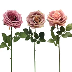 TIGE ROSE H.72CM CHARME