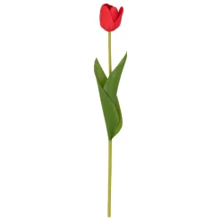 TIGE TULIPE MARTINE H.48CM