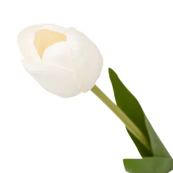 TIGE TULIPE MARTINE H.48CM