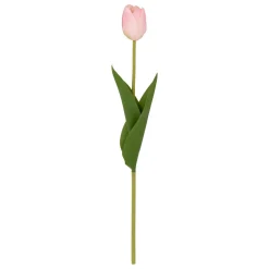 TIGE TULIPE MARTINE H.48CM