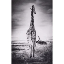 TOILE IMPRIMEE ANIMAUX D.75X115CM