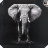 TOILE IMPRIMEE ELEPHANT D.100X100CM