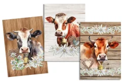 TORCHON CLAUDETTE MULTICOLORE 50X70